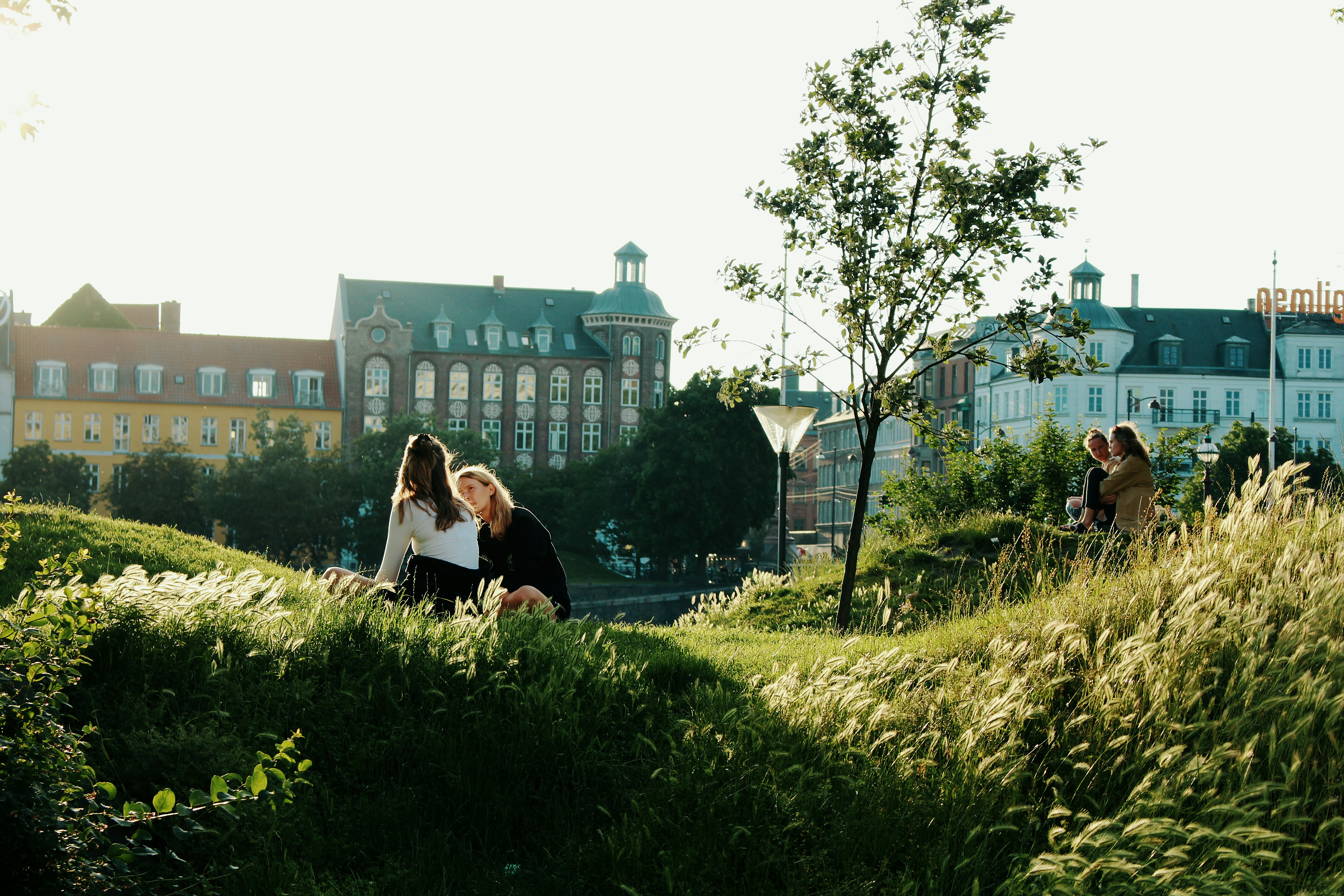 People enjoying the park in Copenhagen